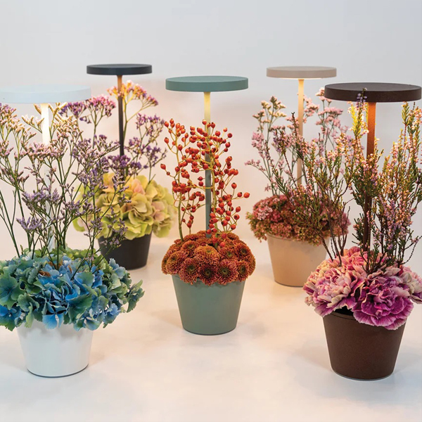 Poldina Reverso 3 C Billede af Poldina Reverso bordlampe med plads til planter i underskålen